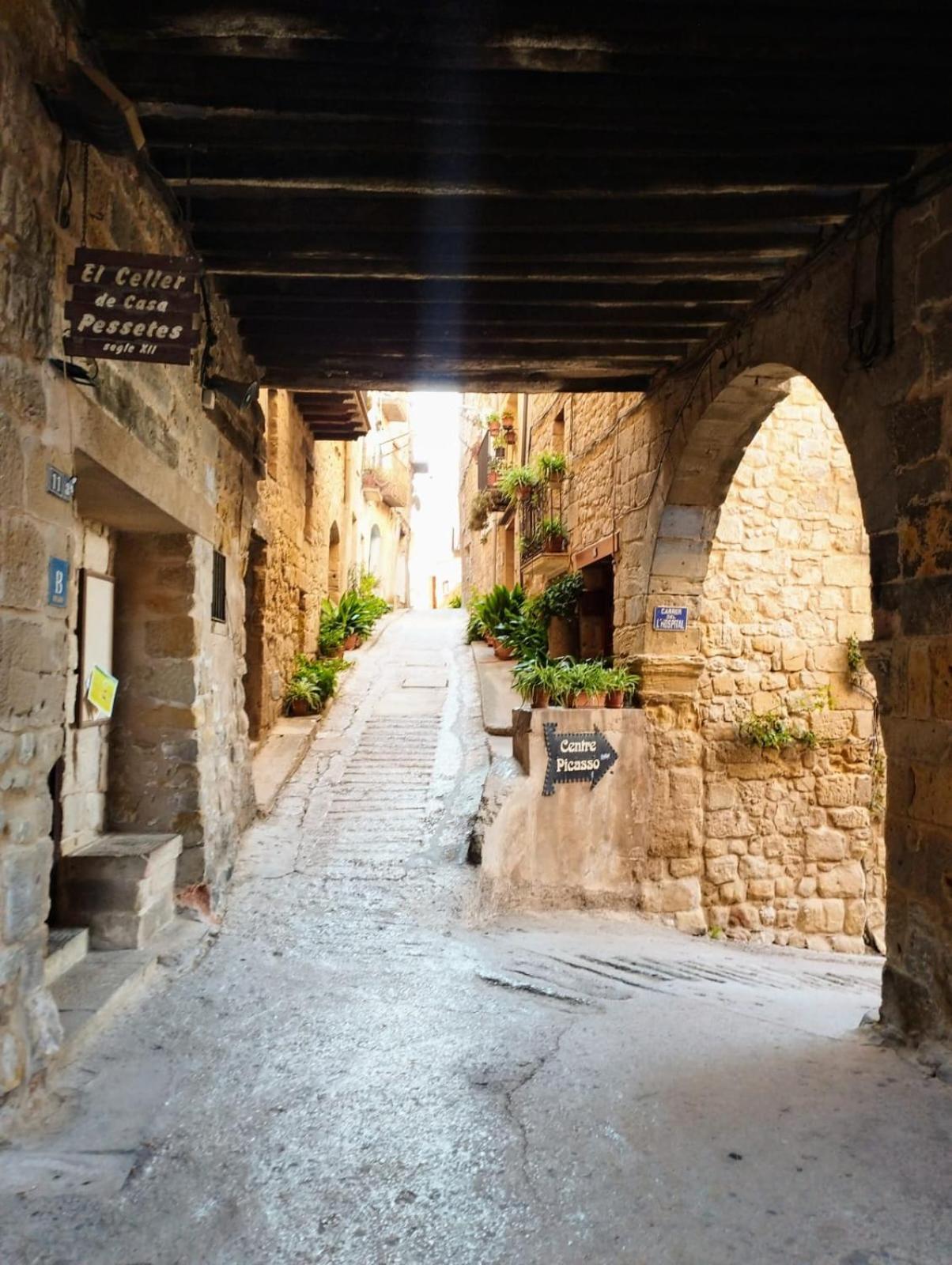 La Casa Del Castell Villa Horta de Sant Joan Bagian luar foto